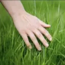touch_grass