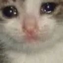 sadge