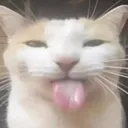 bcr_blehcat