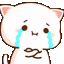 Tc Fake Cry Discord emoji