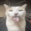 blehhh