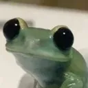 pensivefrog