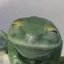 eepyfrog