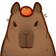 H_capybaraorange_P2U