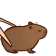 H_capybarapelican2_P2U