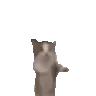 catHop catHop