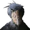 Shoebill_Bird