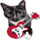 cat_bass