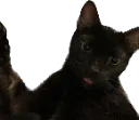 NandoBlep
