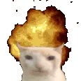 catexplode catexplode