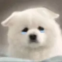 KH_OhowSad Discord Emoji