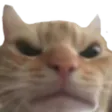 angery