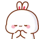 1_Transbunbun_pray