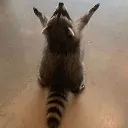 praise