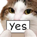 catYes