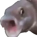 Pogfish PogFish Discord Emoji