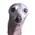 oliverfearsmall
