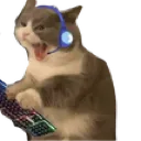 cat_gaming Discord Emoji