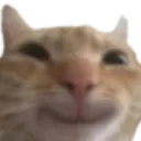 swaghappy