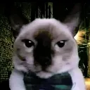 Fino