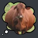 boi2balon_FemboySlut