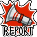 Reporte