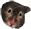 HamsterTime Discord emoji