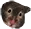 HamsterTime HamsterTime