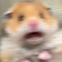 ScaredHamster Discord emoji