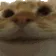YesYes