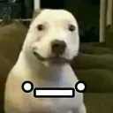 __