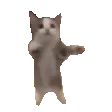 catJump