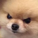 emoji_58