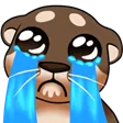 fgsCry