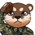 fgsO7