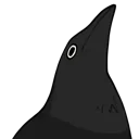 derpycrow