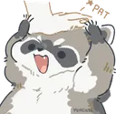 mracoon_pat