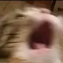 AHhcat