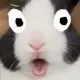 shocked_2 shocked_2