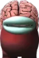 brainmogus
