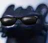 NF_sunglasses
