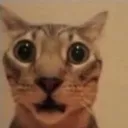 OmGBrah