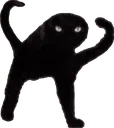 Cursedcat cursedcat Discord Emoji