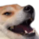 Haha HAHA Discord Emoji