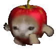 applecatrun