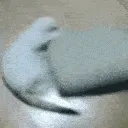 catspinners
