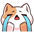 misha_cry