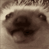 nyam_nyam Discord Emoji