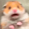 Hamster_Scream Hamster_Scream