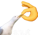 MG_Shut